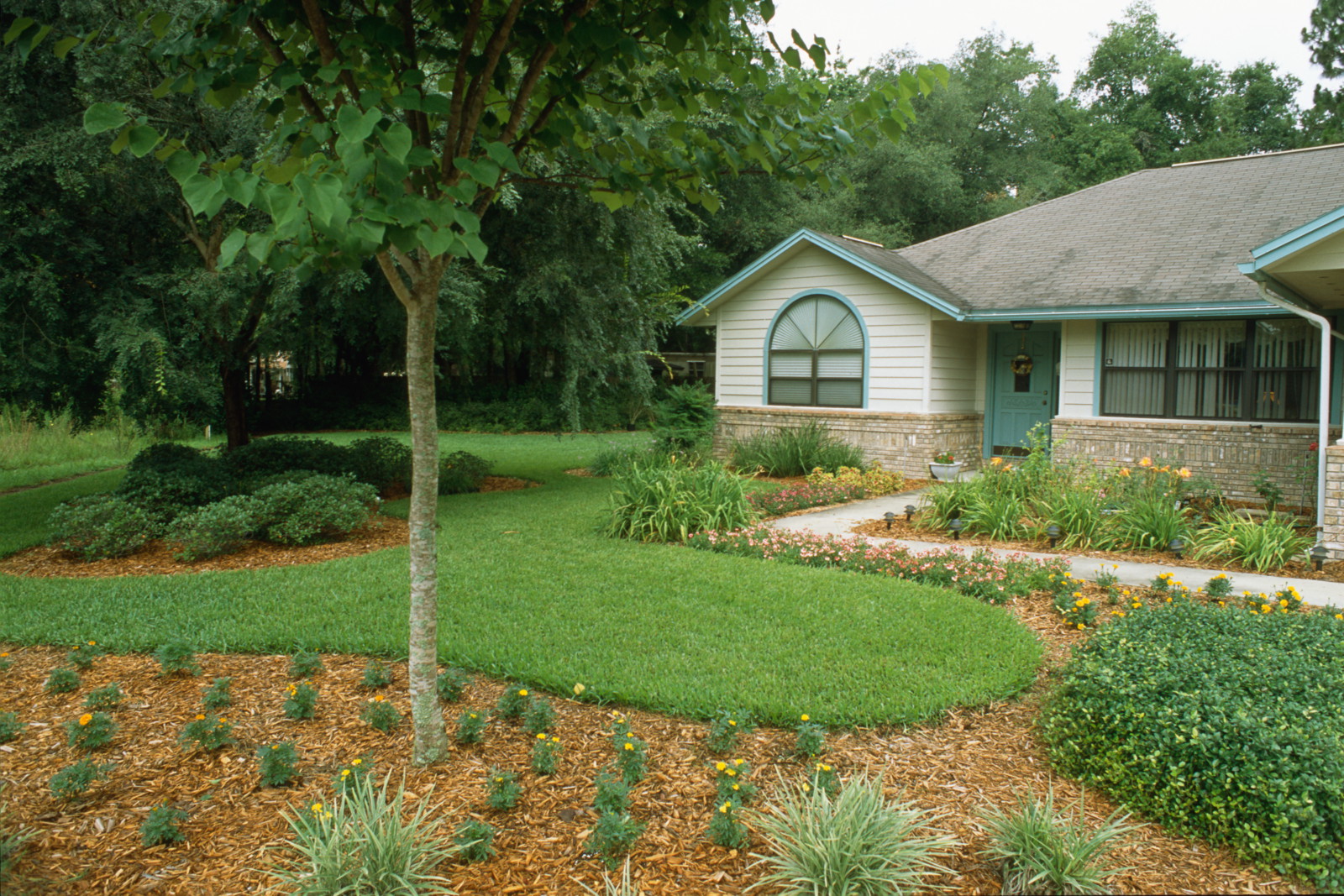Landscape example – 2001-06