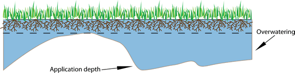 DUoverwatering Overwatering illustration
