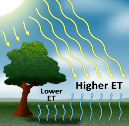 ETdiagram Illustration showing evapotranspiration