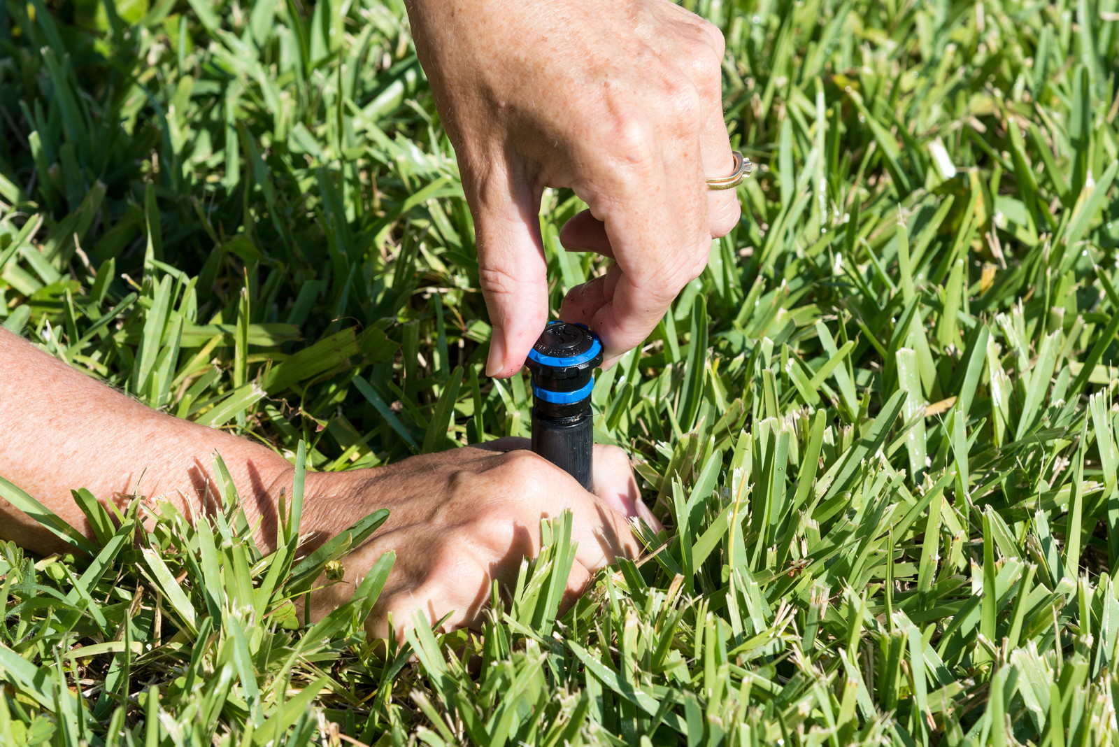 Irrigation system maintenance - Adjusting sprinkler Adjusting sprinkler