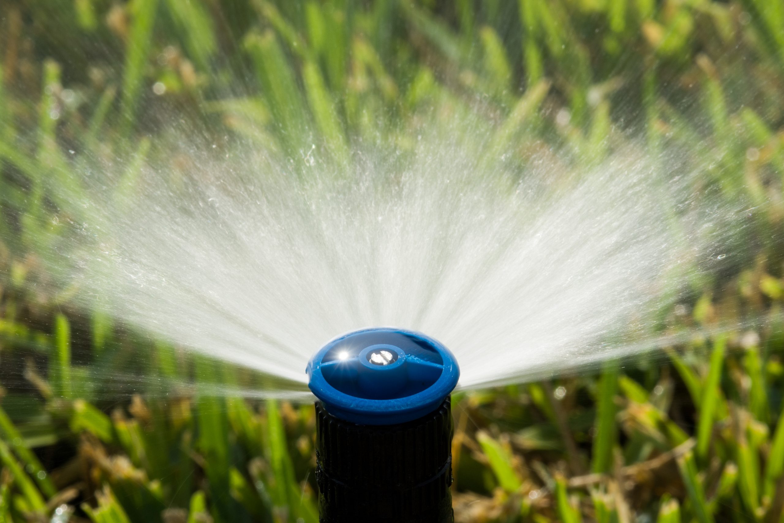 Irrigation Sprinkler head spraying water