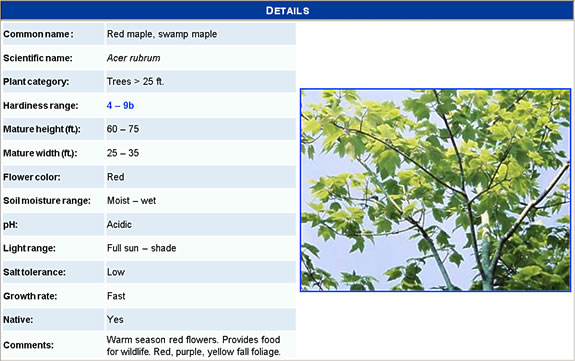 WWDBscreenshot3 screen shot of a plant from the waterwise plant database