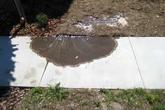 crackedsprinklerhead A leak from a cracked sprinkler head