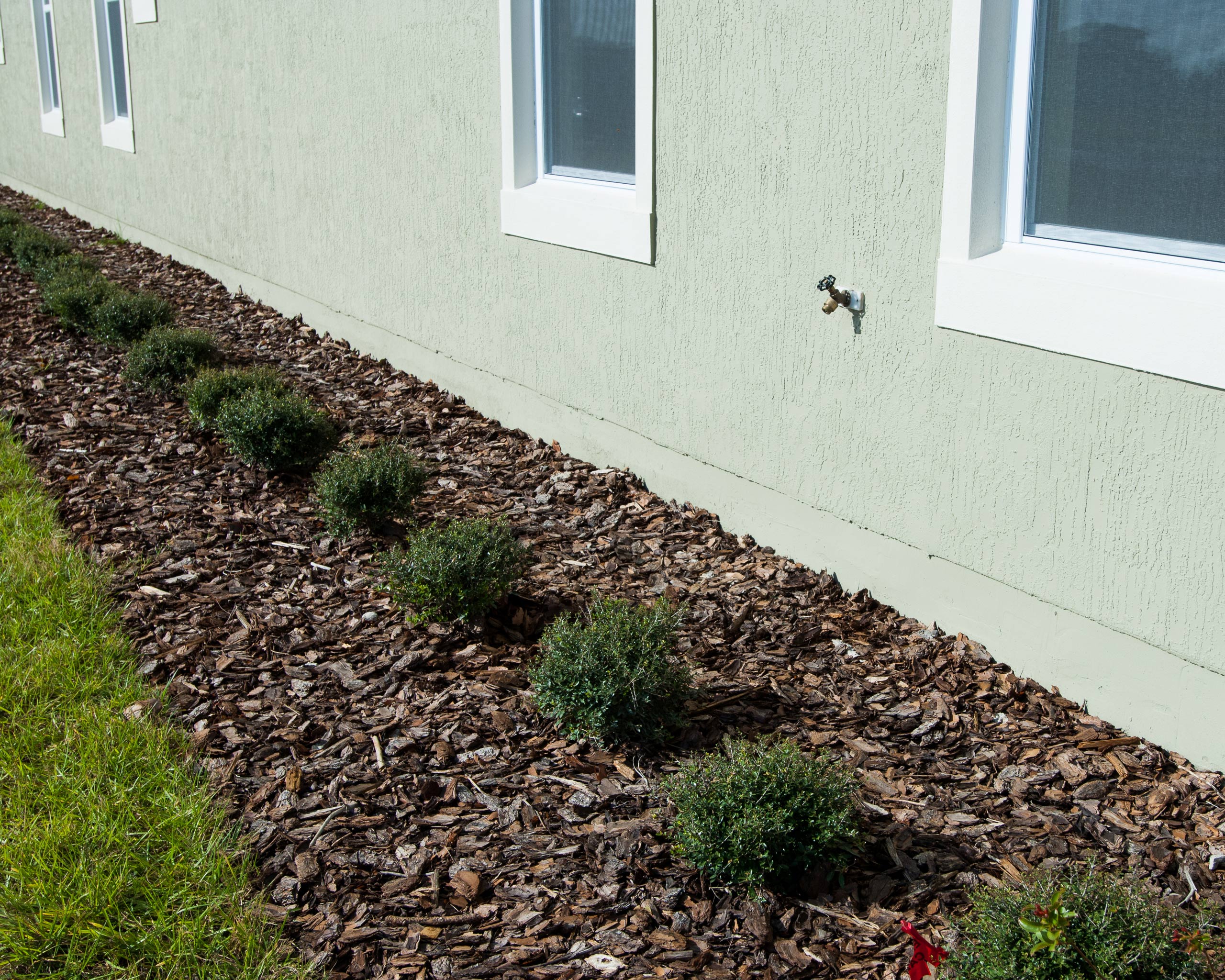 good-side-yard-planting Pine bark mulch