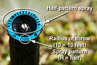 popup_partslabeled Pop-up sprinkler head