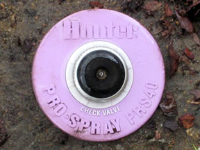 pressureregulatingsprayhead2 Pink pressure-regulating spray head