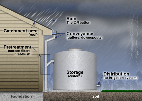 rainwaterharvesting Illustration of a water harvesting setup