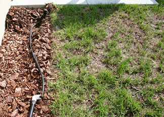 temporaryirrigationsystem Example of a temporary irrigation system