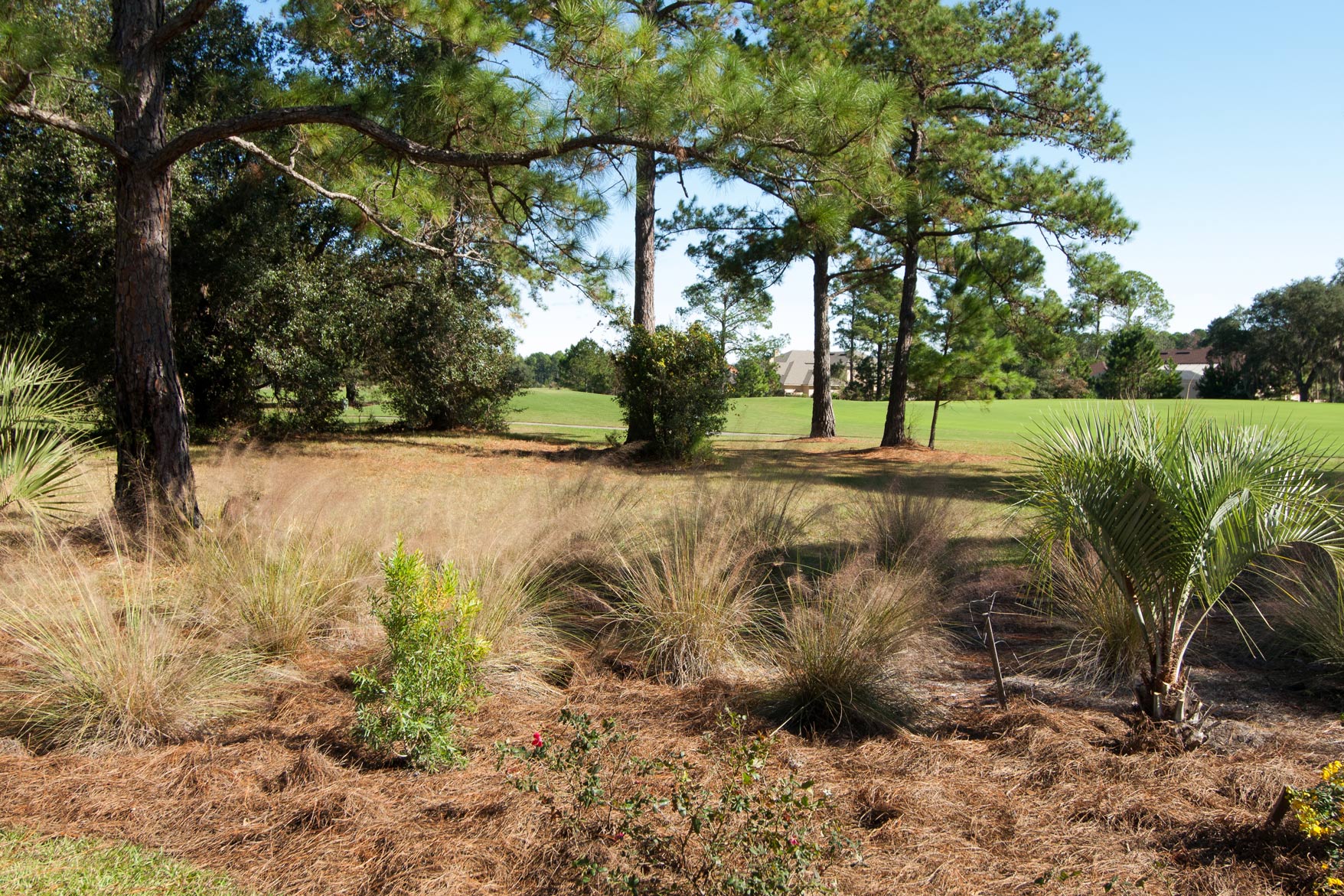 landscape-bed landscape bed