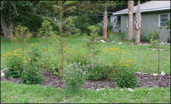 landscape2 Unmanicured landscape